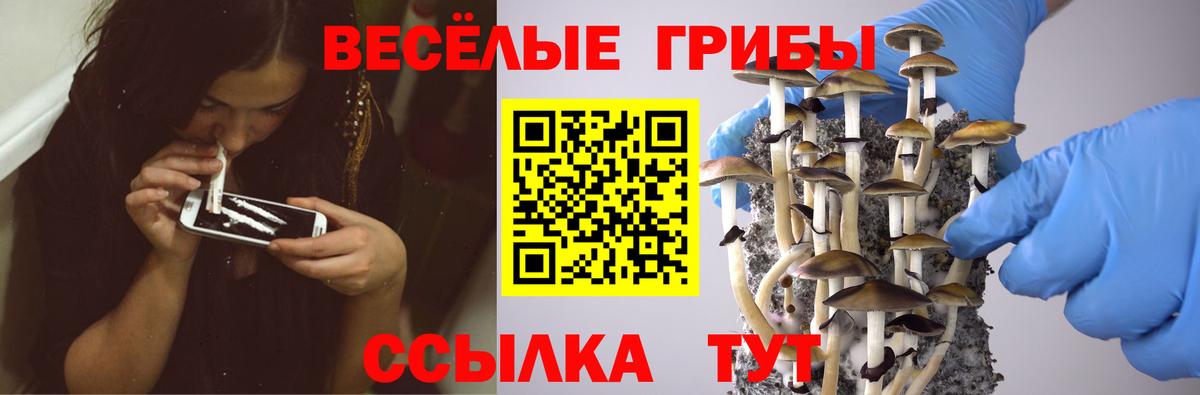Галлюциногенные грибы GOLDEN TEACHER  Вход с VPN  Тула  Галлюциногенные грибы ЛСД 